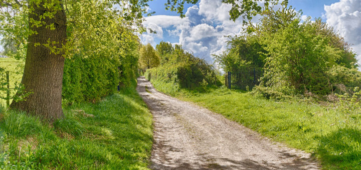 Trail walking feature